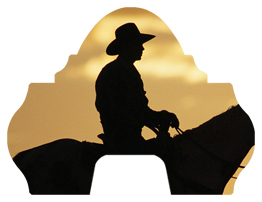 DARAY-L-360-BZ Cowboy Bronze